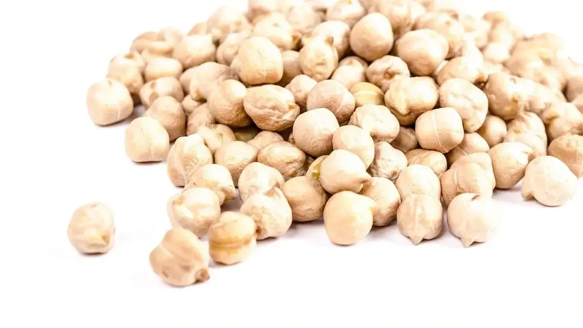 Chickpeas nutritious legume helpful for blood sugar control.