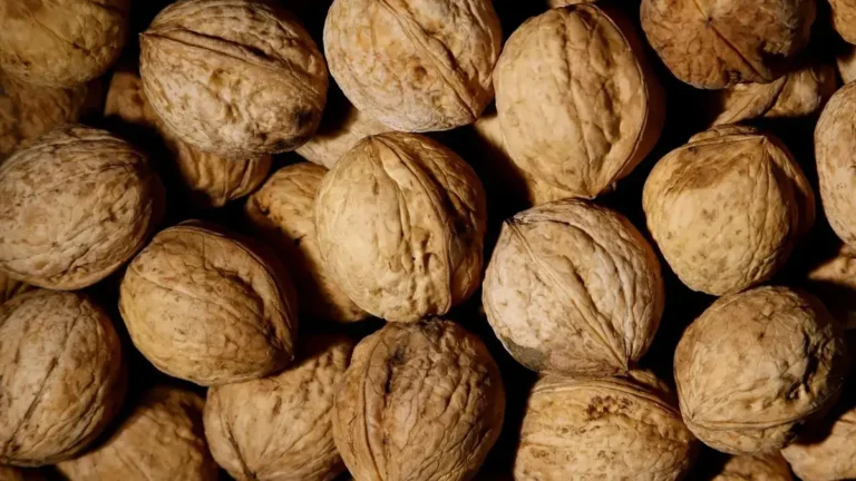 Walnuts nutritious nuts rich in omega‑3, antioxidants and vital nutrients.