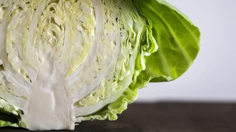 Fresh cabbage a diabetes‑friendly vegetable for blood sugar control.