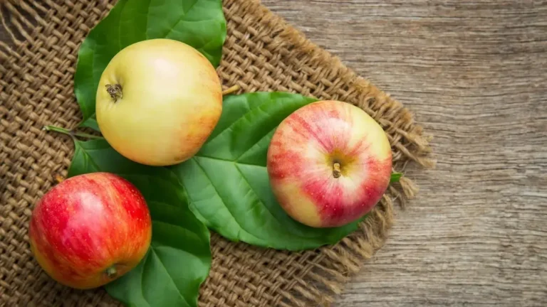 Fresh apples importance of daily consumption.