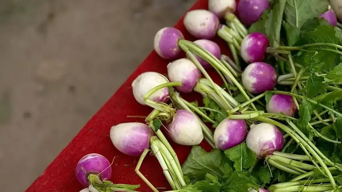 Turnip healthy vegetable for diabetes management.