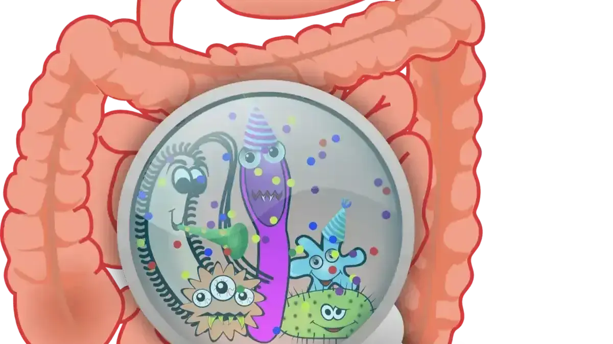 Illustration of gut microbiome with sugar cubes and craving signals