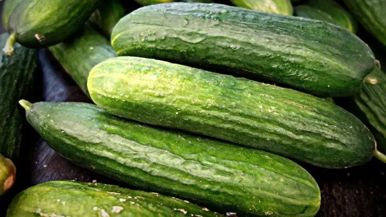 Fresh cucumbers, some whole and some sliced.
