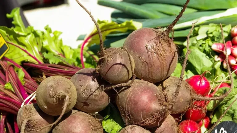 Fresh beetroot roots and a glass of beetroot juice on a table