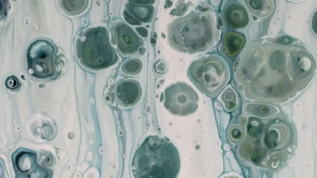 Illustration showing “Fasting & Autophagy body’s cellular recycling during fasting