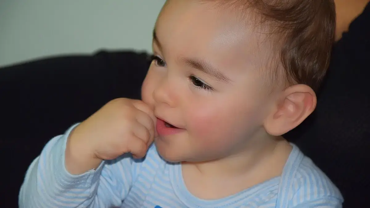 Bottle of Coferb Ivy‑Leaf Extract Cough Syrup and text describing benefits and usage