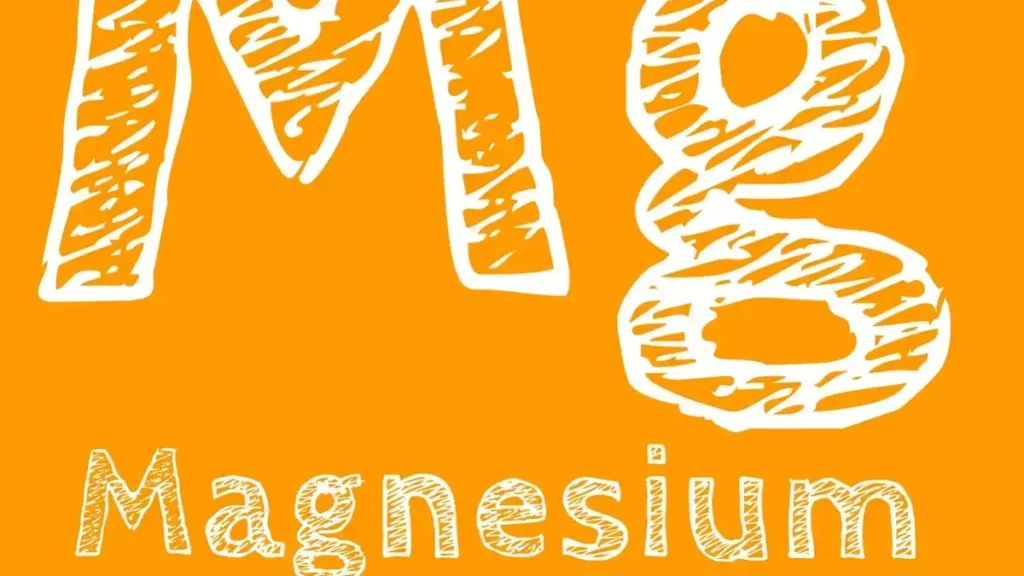 Assortment of magnesium‑rich foods: nuts, seeds, leafy greens and whole grains