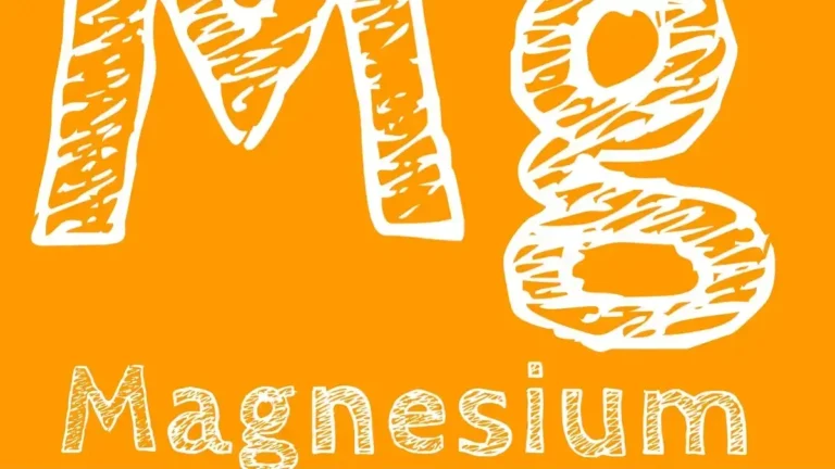 Assortment of magnesium‑rich foods: nuts, seeds, leafy greens and whole grains