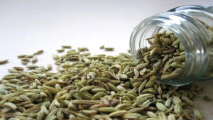 Fennel plant with green fronds and seeds showing its digestive and wellness benefits
