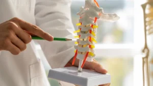 Magnesium and vitamin K2 supporting bone health by directing calcium into bones