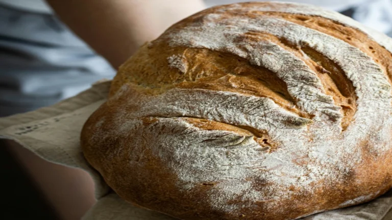 Sourdough bread fermentation showing wheat fiber structure and open crumb