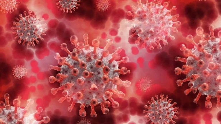 Microscopic view of Nipah virus particles highlighting structure and transmission potential in humans and animals