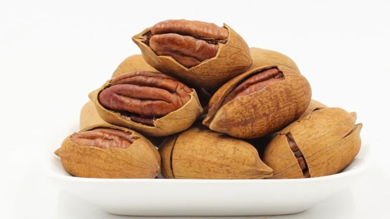 Raw pecans in a bowl showing nutrient dense tree nuts rich in healthy fats