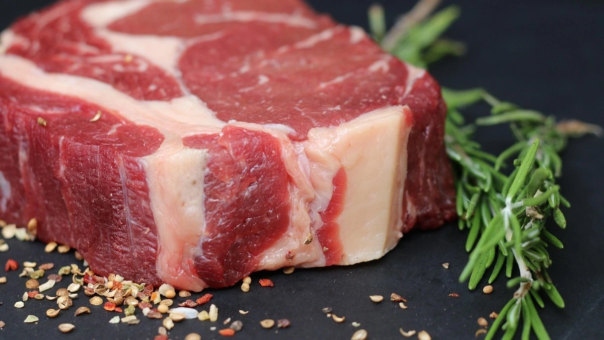 Goat, lamb, and camel meat compared for iron deficiency, pregnancy, and post-pregnancy recovery nutrition