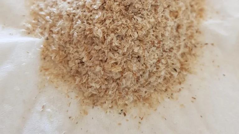 Glass of ispaghul (psyllium husk) mixed with water showing how timing, soaking, and liquid choice affect digestion, constipation, acidity, diabetes, and weight management.