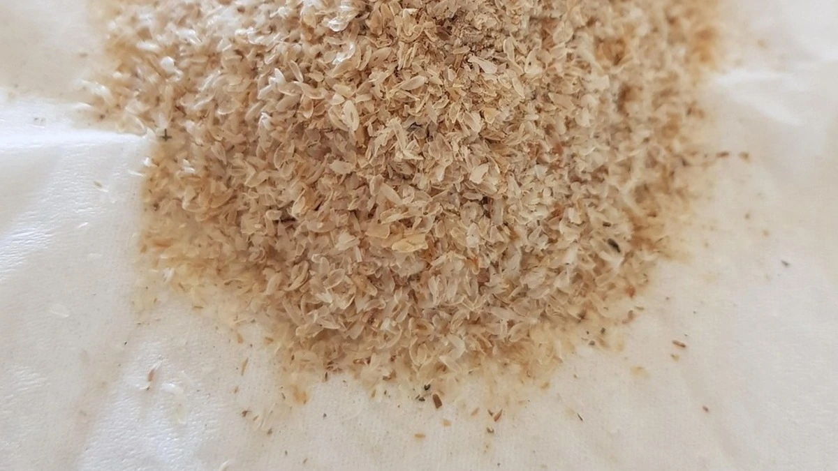 Glass of ispaghul (psyllium husk) mixed with water showing how timing, soaking, and liquid choice affect digestion, constipation, acidity, diabetes, and weight management.