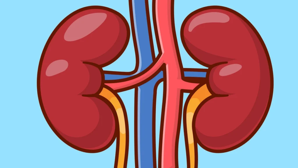 Doctor holding a semaglutide injection pen with kidney health illustration representing Ozempic's FDA-approved kidney protection benefits for people with type 2 diabetes and chronic kidney disease.