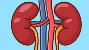 Doctor holding a semaglutide injection pen with kidney health illustration representing Ozempic's FDA-approved kidney protection benefits for people with type 2 diabetes and chronic kidney disease.