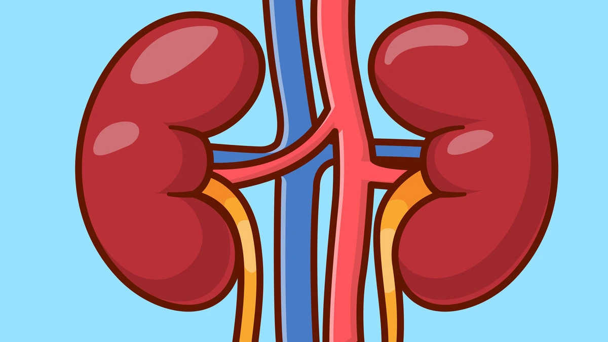 Doctor holding a semaglutide injection pen with kidney health illustration representing Ozempic's FDA-approved kidney protection benefits for people with type 2 diabetes and chronic kidney disease.