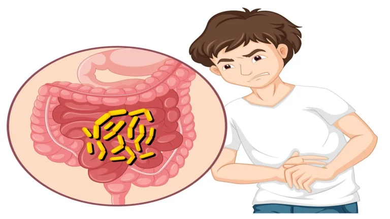 Gut microbiome illustration showing resistant starch fermentation into butyrate in the colon